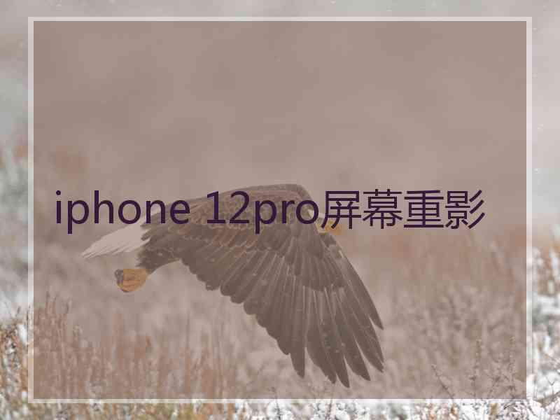 iphone 12pro屏幕重影