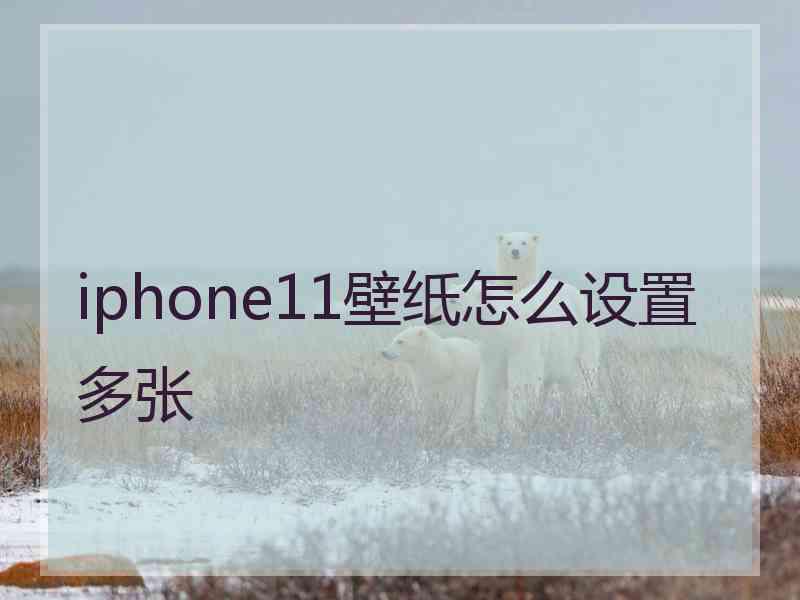 iphone11壁纸怎么设置多张