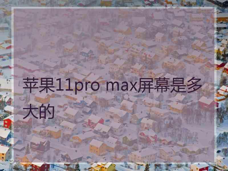 苹果11pro max屏幕是多大的