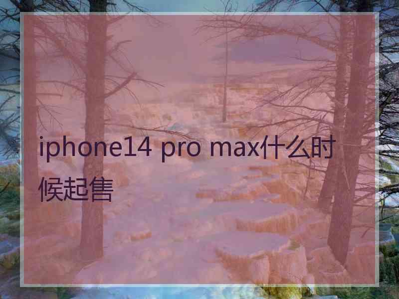 iphone14 pro max什么时候起售