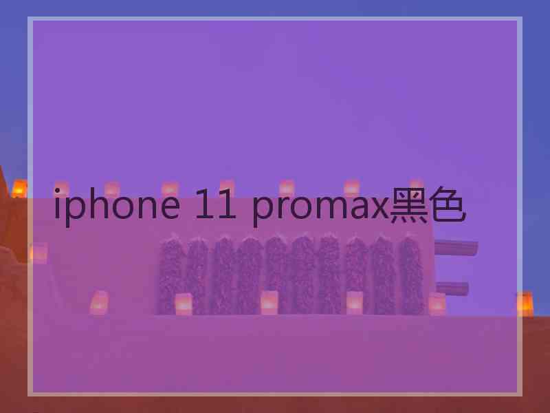 iphone 11 promax黑色