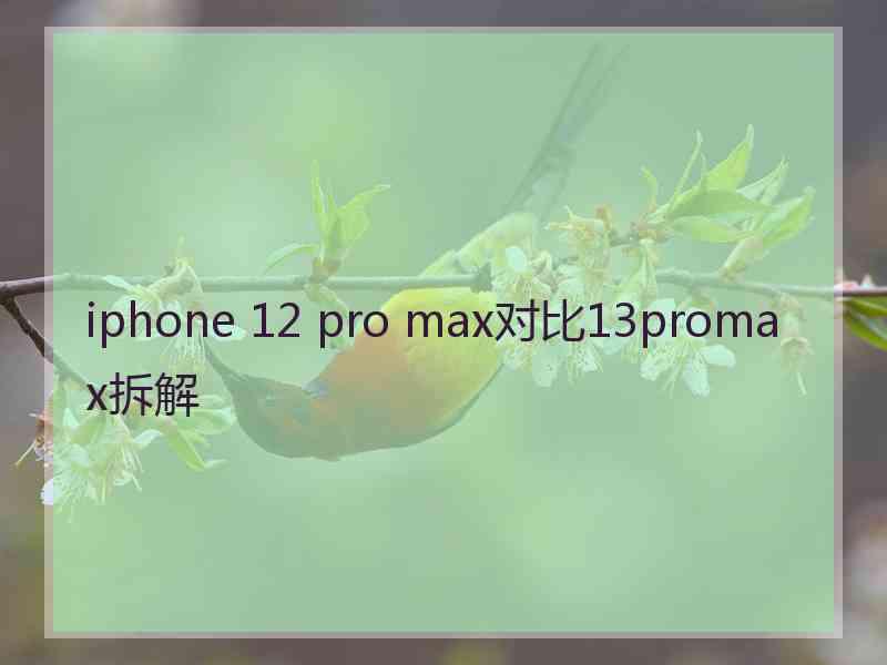 iphone 12 pro max对比13promax拆解