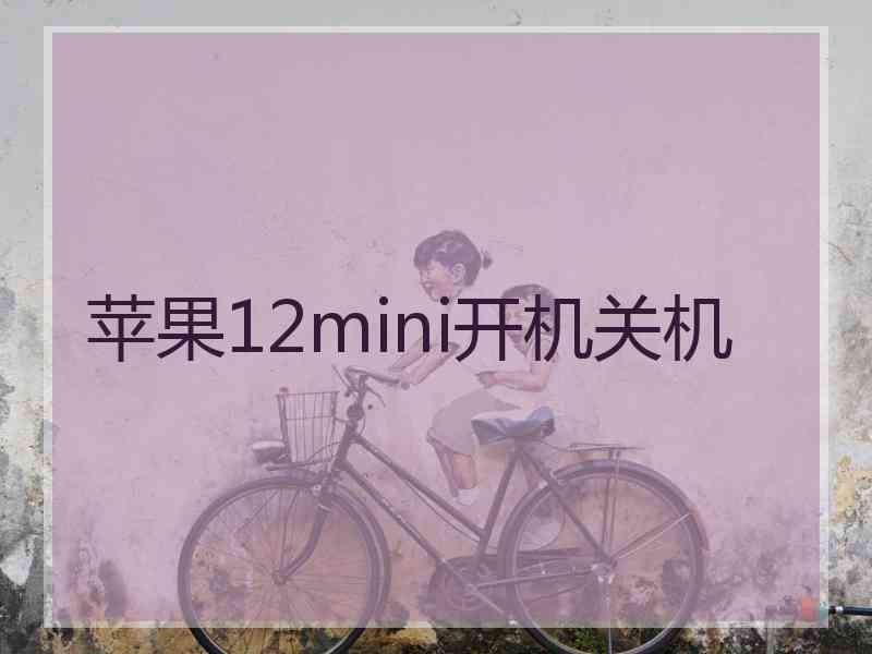 苹果12mini开机关机