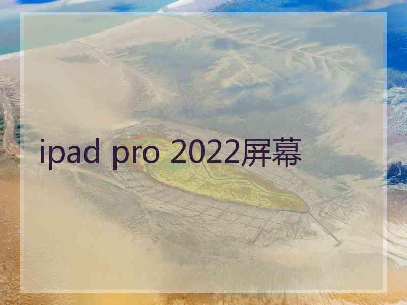 ipad pro 2022屏幕