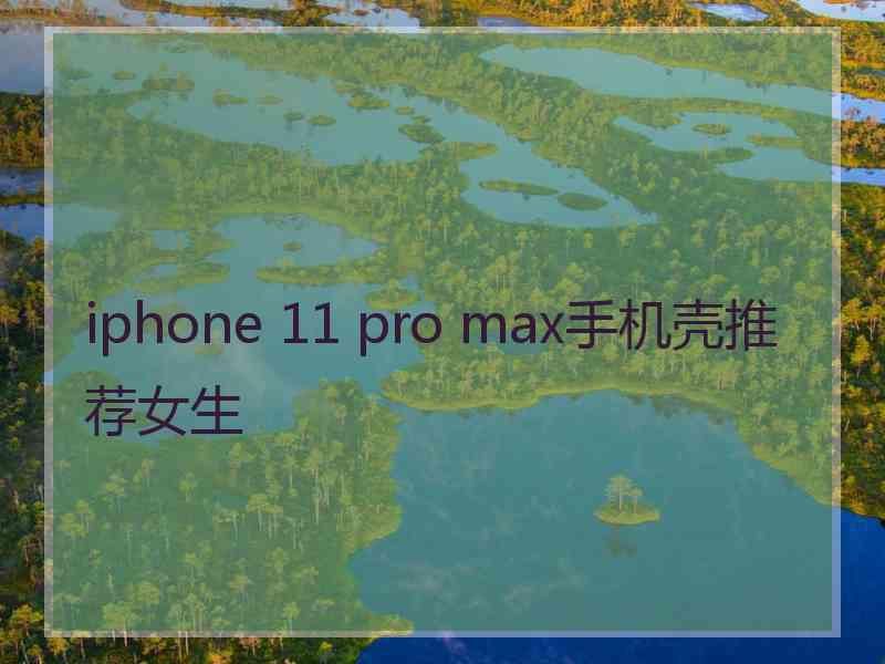 iphone 11 pro max手机壳推荐女生