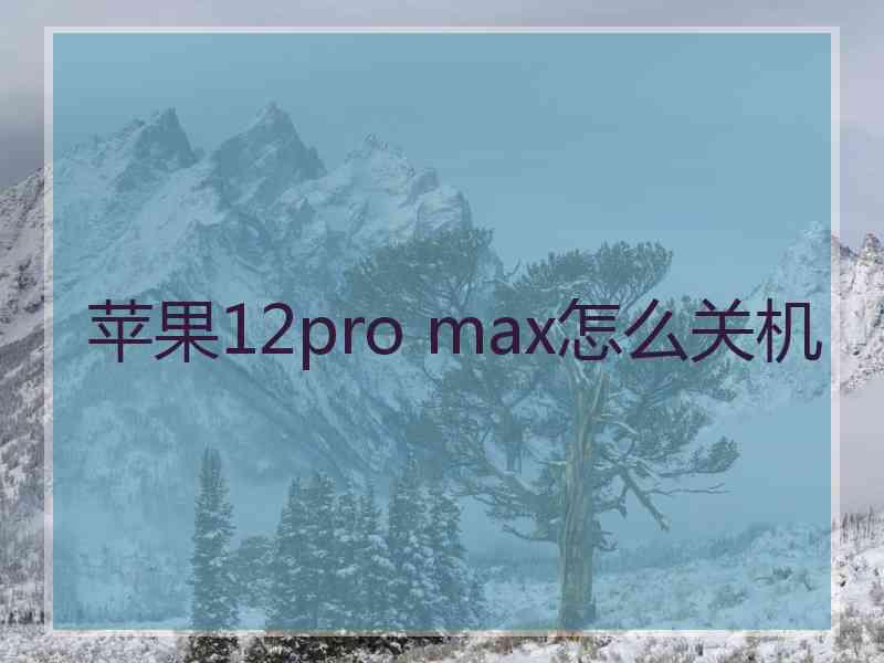 苹果12pro max怎么关机