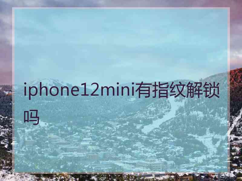 iphone12mini有指纹解锁吗