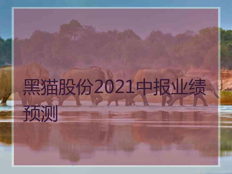 黑猫股份2021中报业绩预测