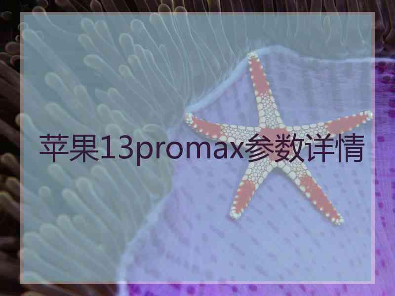 苹果13promax参数详情