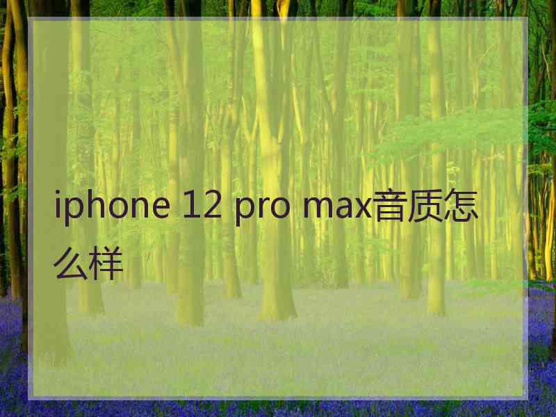 iphone 12 pro max音质怎么样