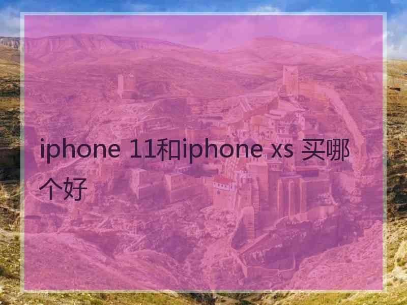 iphone 11和iphone xs 买哪个好