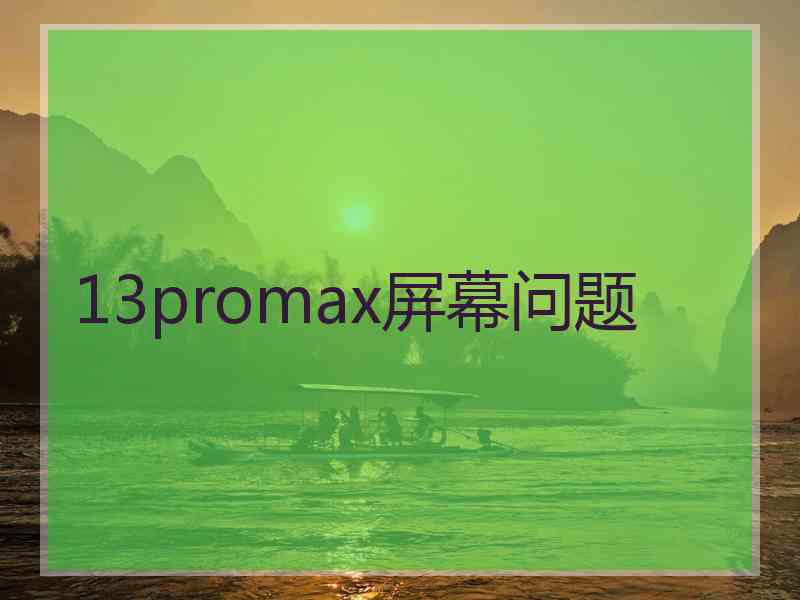 13promax屏幕问题