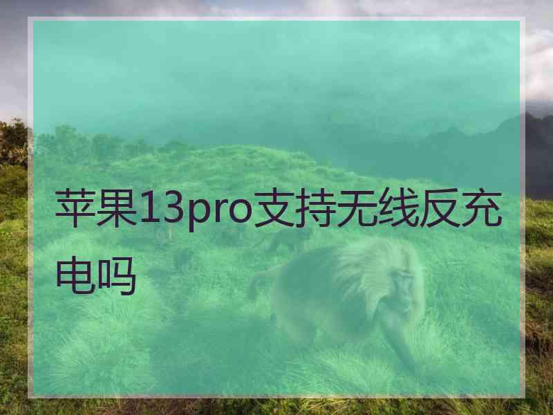 苹果13pro支持无线反充电吗