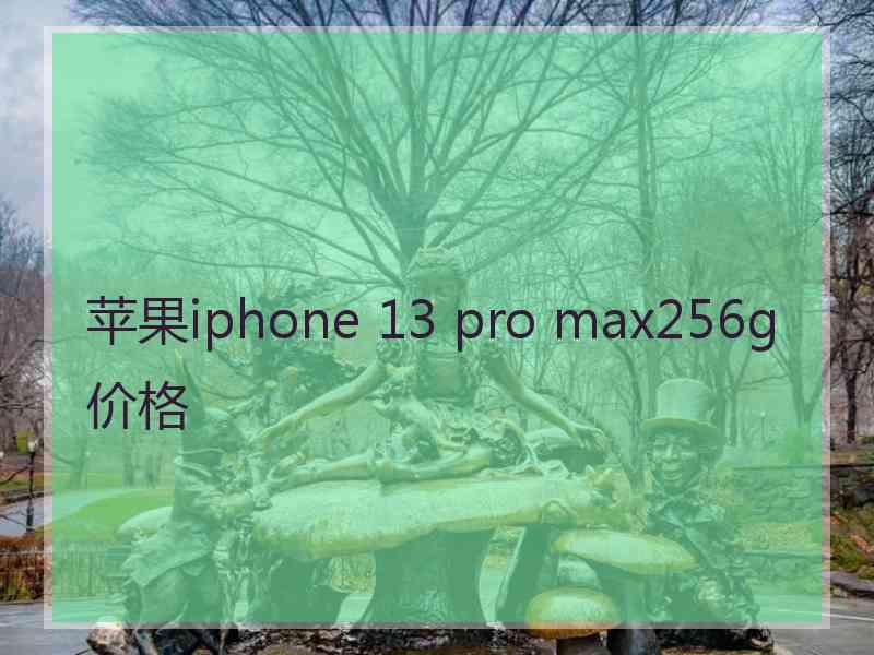 苹果iphone 13 pro max256g价格