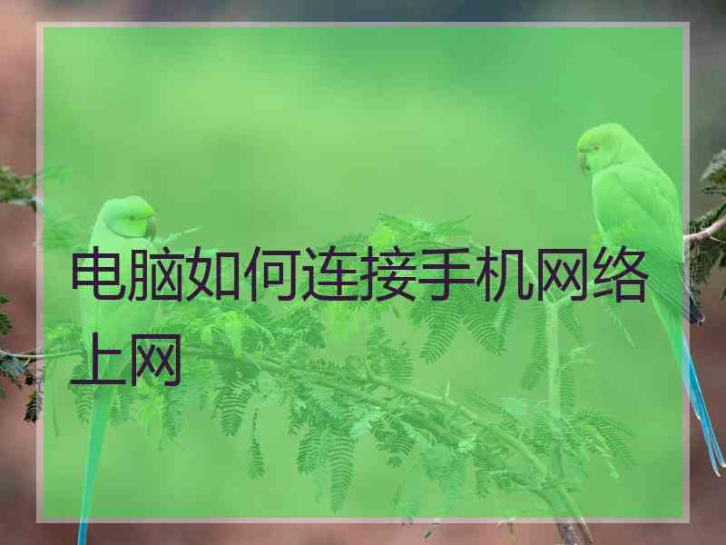 电脑如何连接手机网络上网