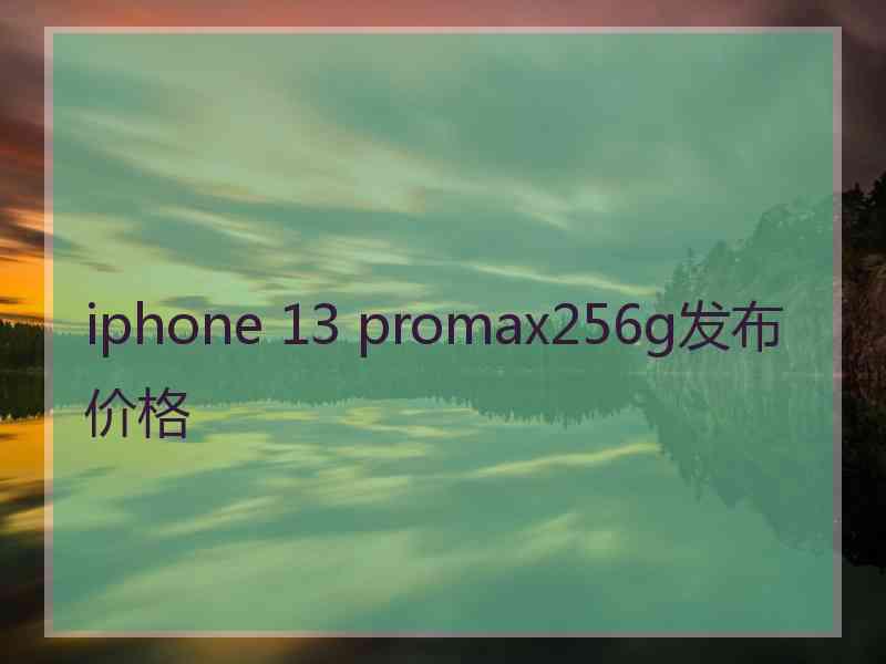 iphone 13 promax256g发布价格