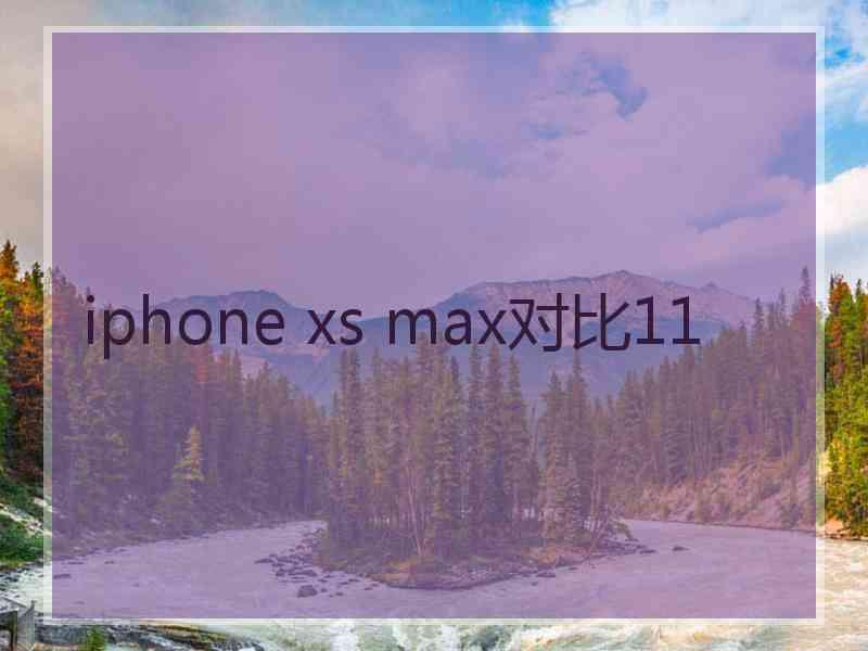 iphone xs max对比11