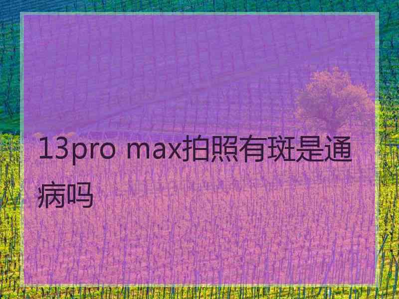 13pro max拍照有斑是通病吗