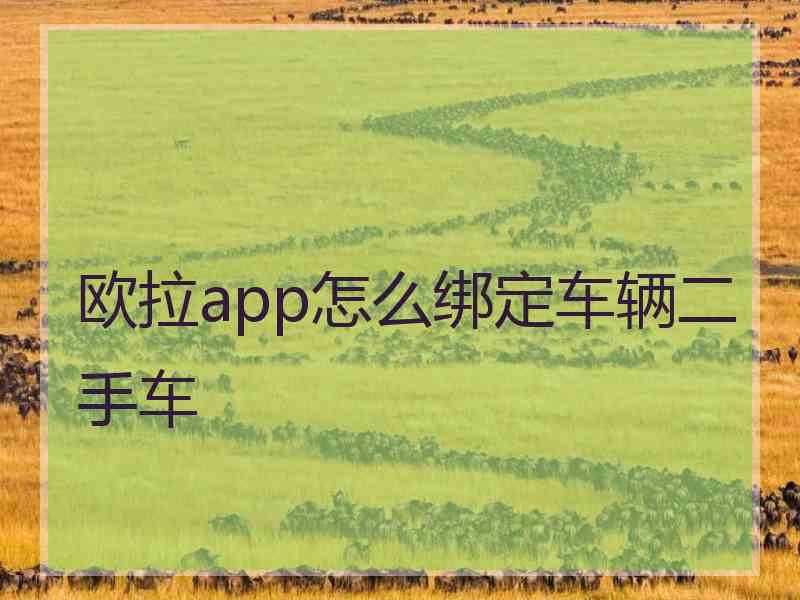 欧拉app怎么绑定车辆二手车