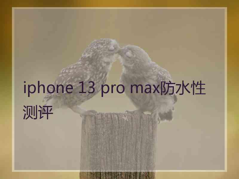 iphone 13 pro max防水性测评