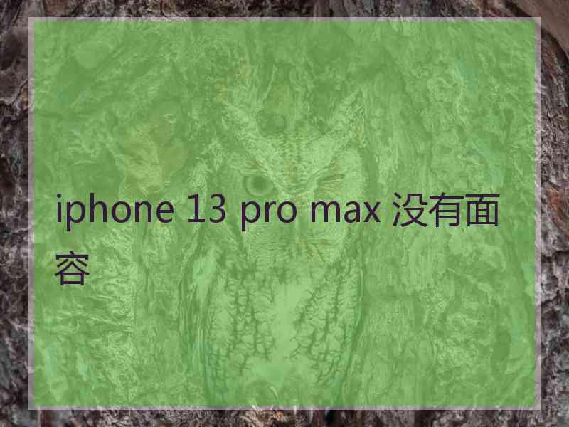 iphone 13 pro max 没有面容