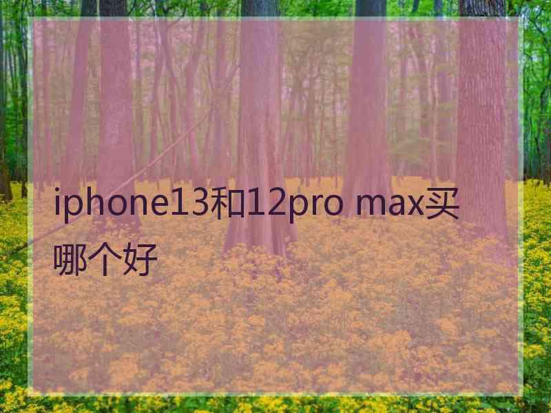 iphone13和12pro max买哪个好