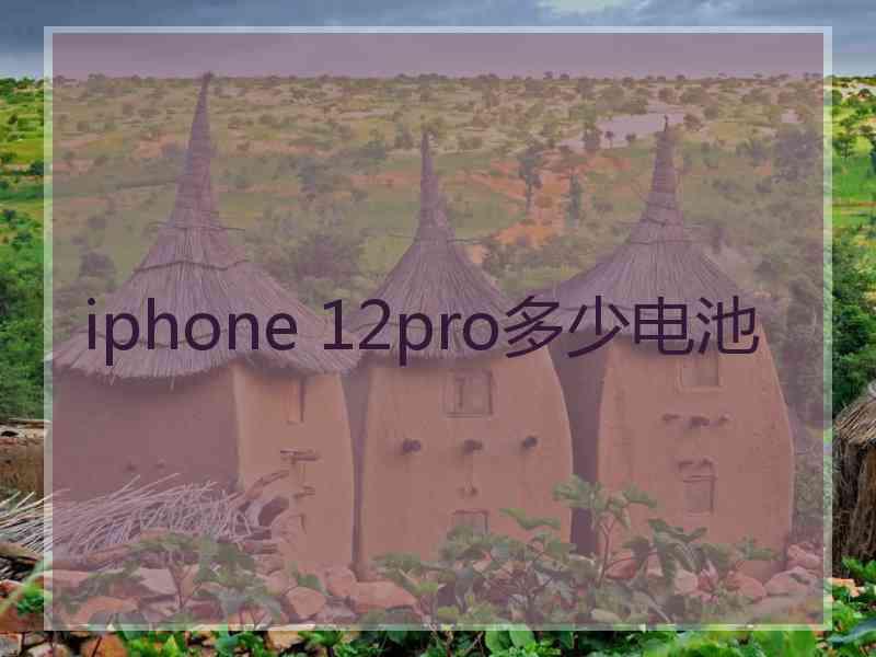 iphone 12pro多少电池