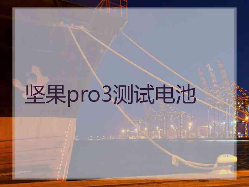 坚果pro3测试电池