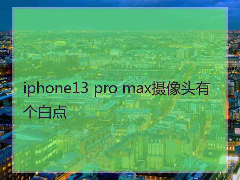 iphone13 pro max摄像头有个白点