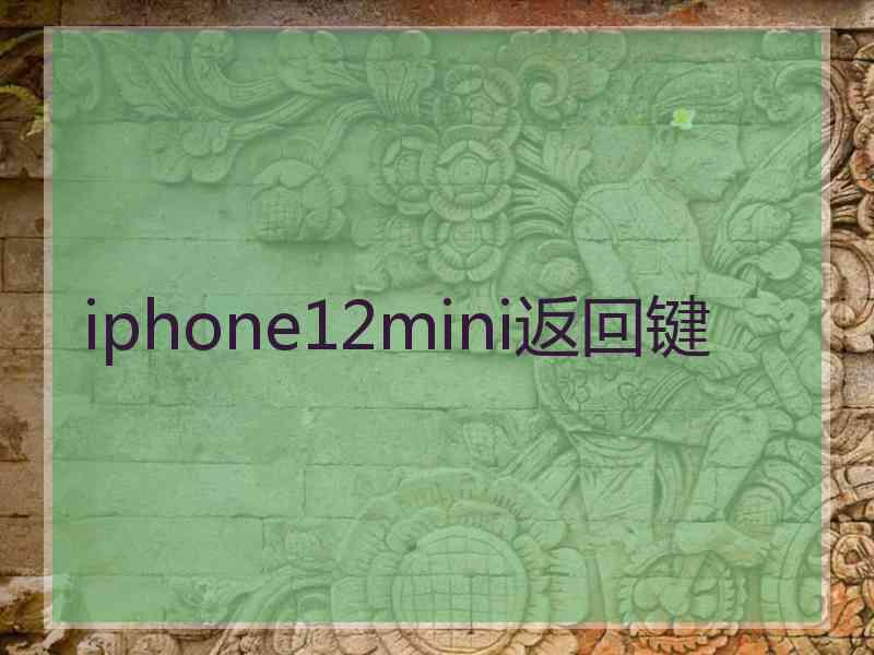 iphone12mini返回键