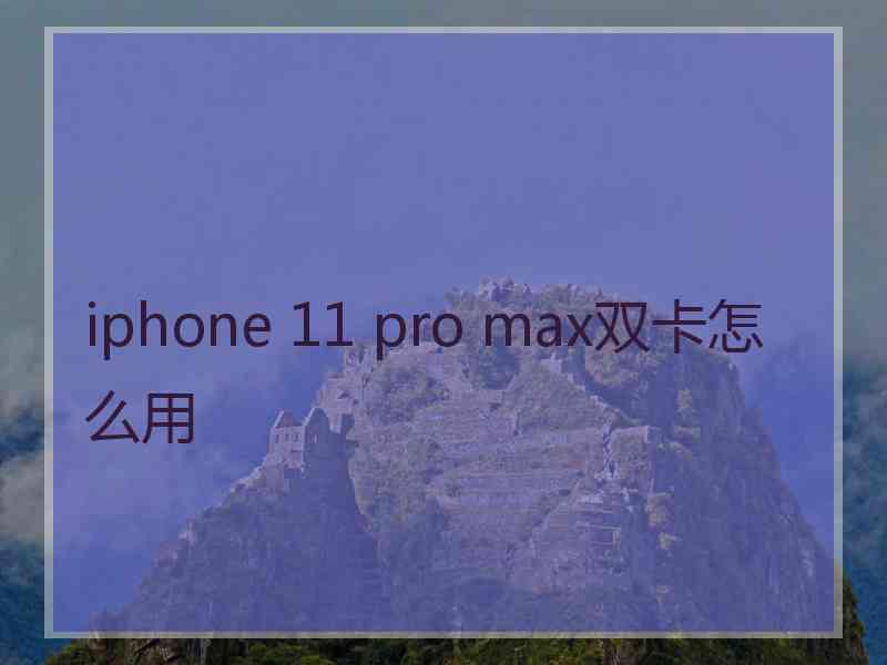 iphone 11 pro max双卡怎么用