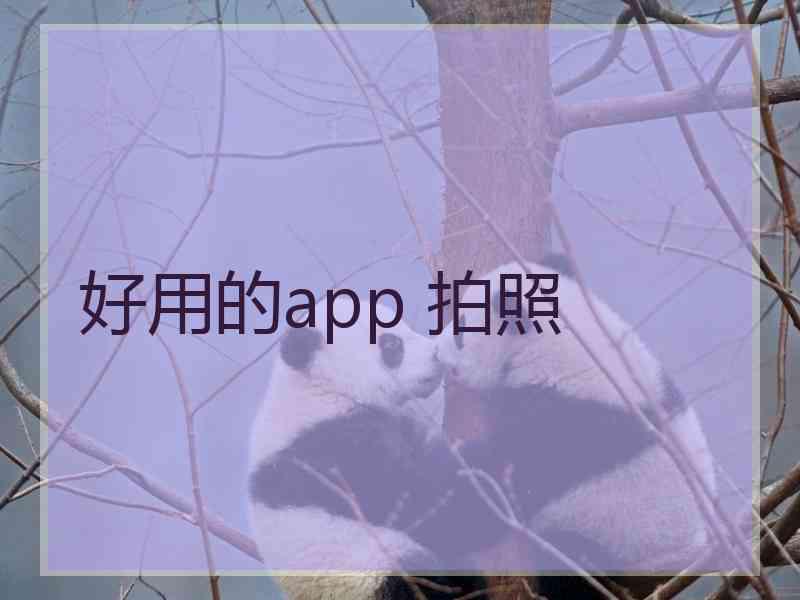 好用的app 拍照