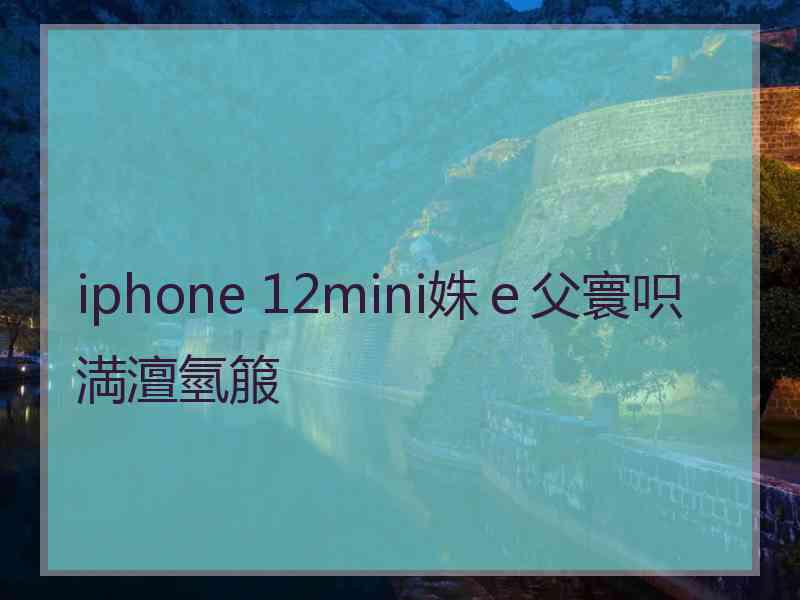 iphone 12mini姝ｅ父寰呮満澶氫箙