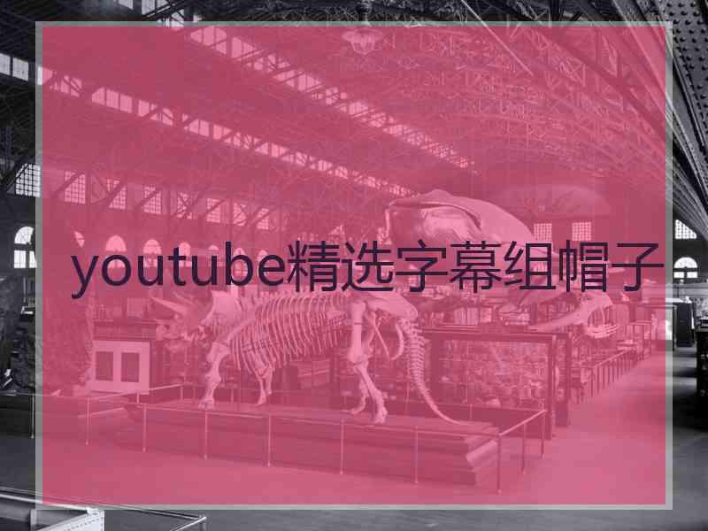 youtube精选字幕组帽子