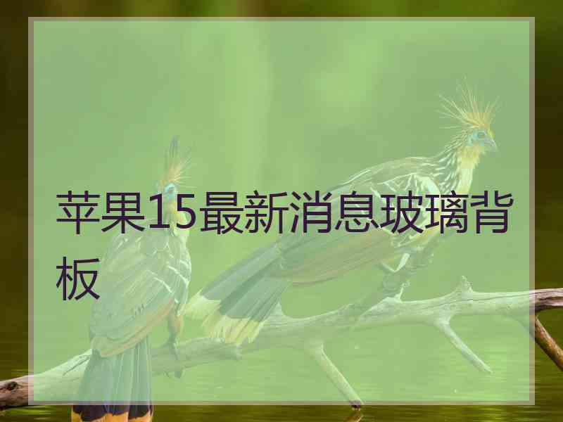 苹果15最新消息玻璃背板