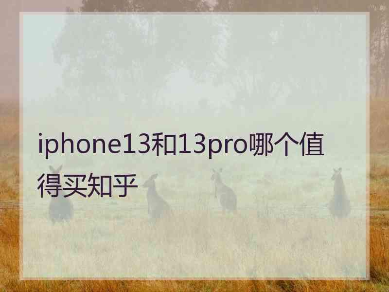 iphone13和13pro哪个值得买知乎