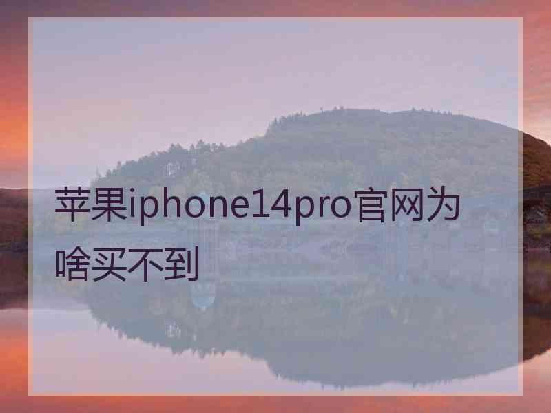 苹果iphone14pro官网为啥买不到