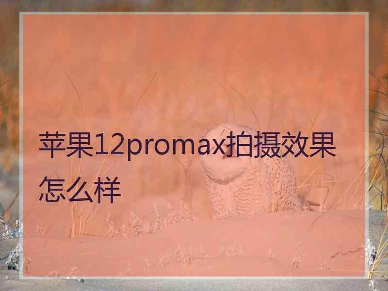 苹果12promax拍摄效果怎么样