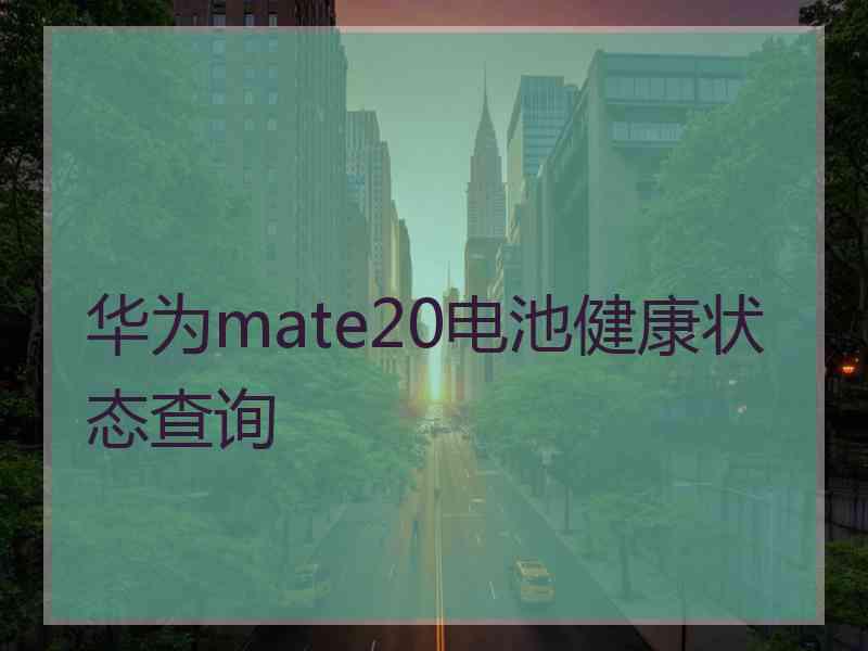 华为mate20电池健康状态查询