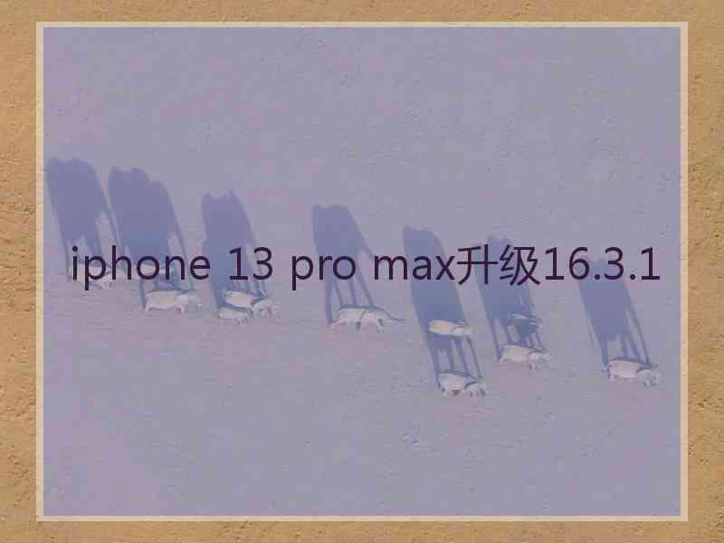 iphone 13 pro max升级16.3.1