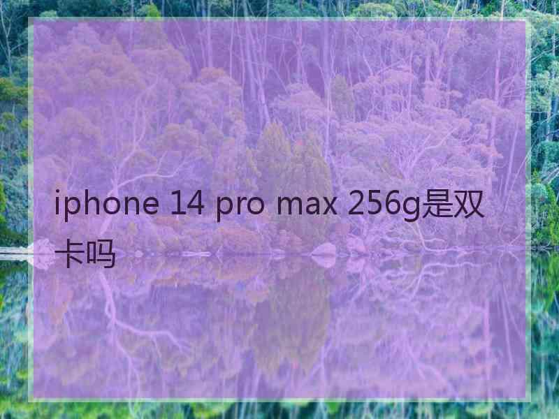 iphone 14 pro max 256g是双卡吗