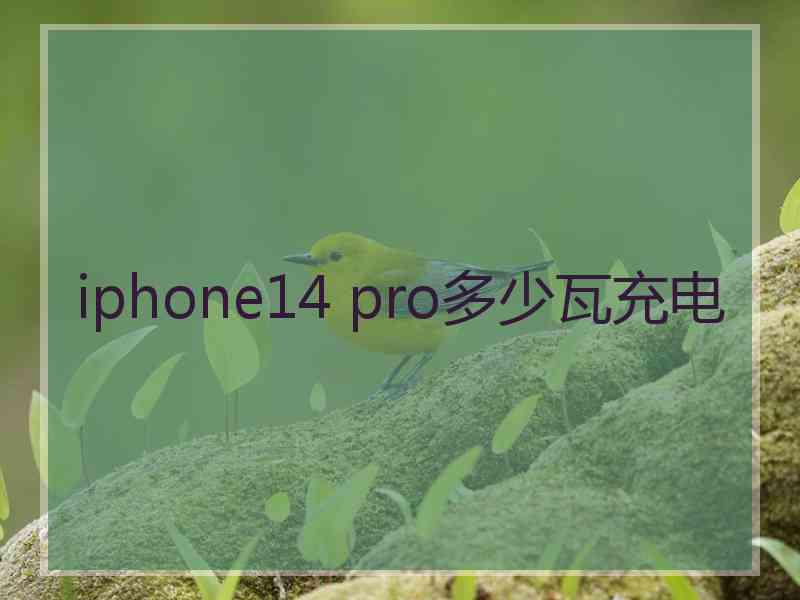 iphone14 pro多少瓦充电