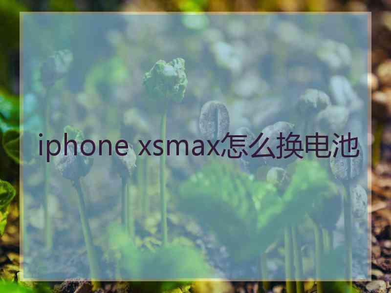 iphone xsmax怎么换电池