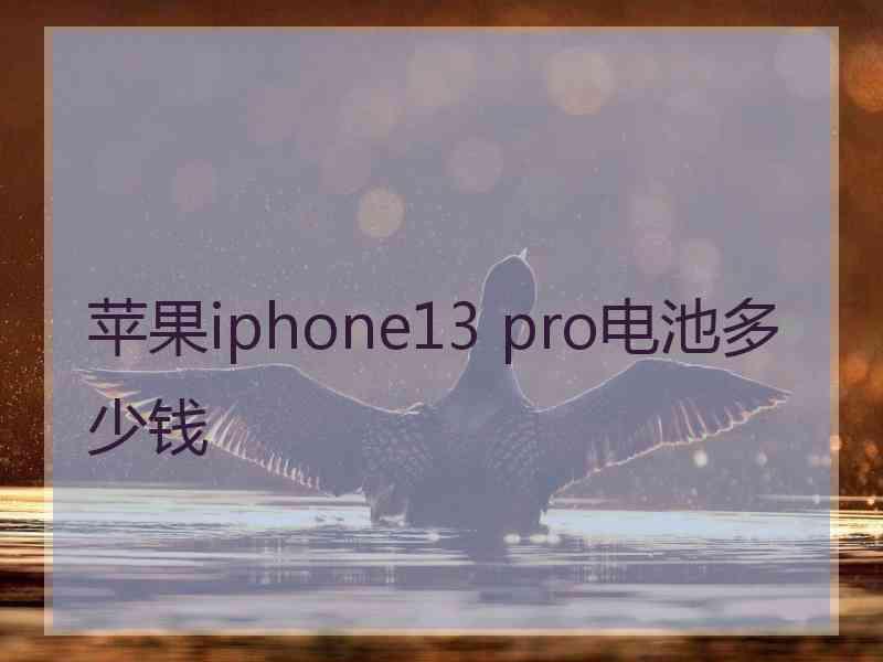 苹果iphone13 pro电池多少钱