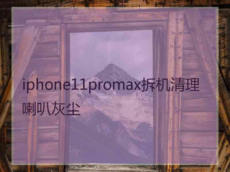 iphone11promax拆机清理喇叭灰尘