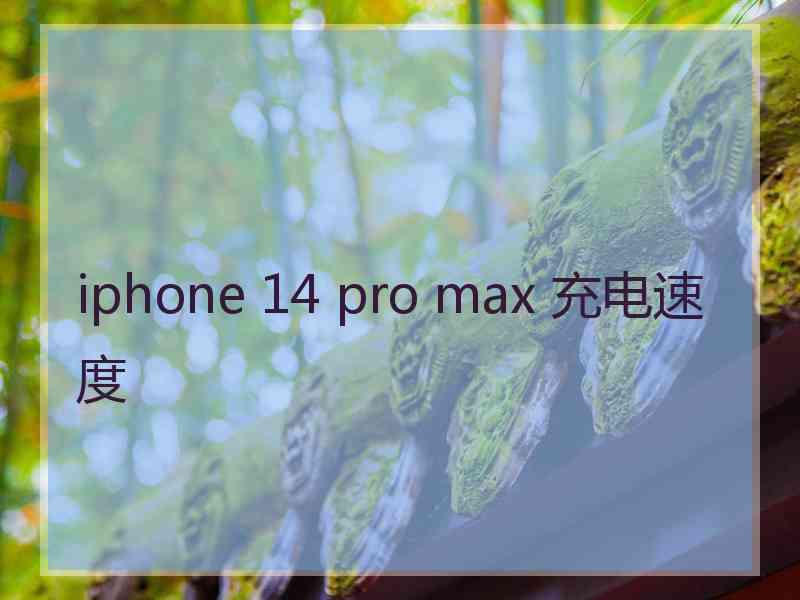 iphone 14 pro max 充电速度