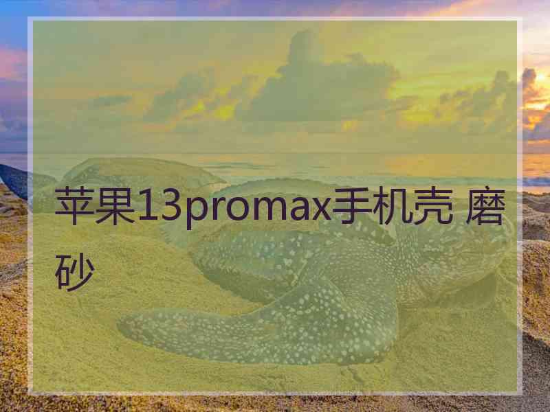 苹果13promax手机壳 磨砂