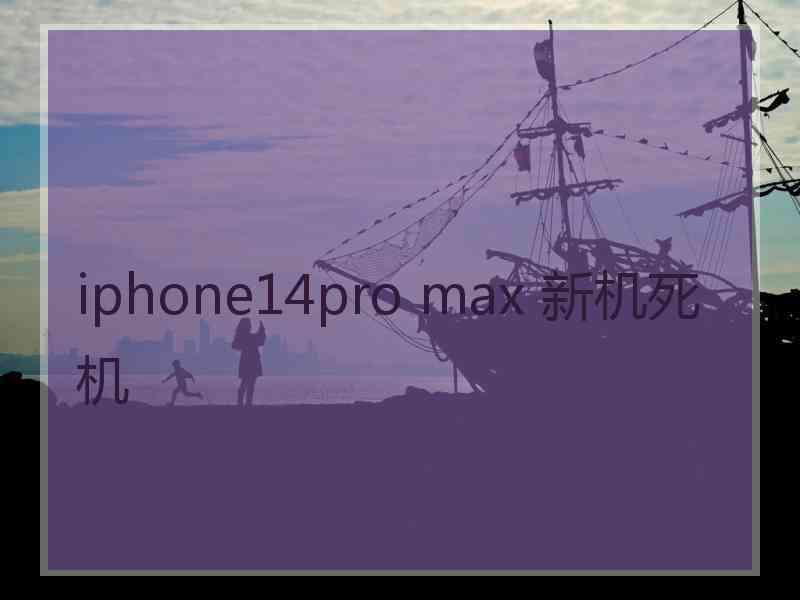 iphone14pro max 新机死机