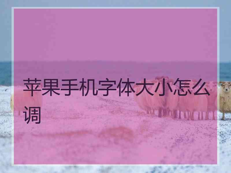 苹果手机字体大小怎么调