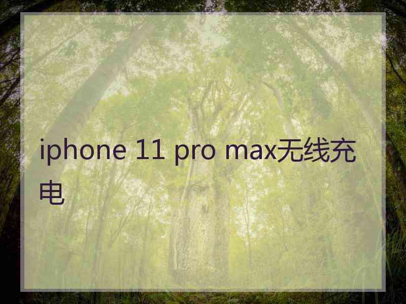 iphone 11 pro max无线充电